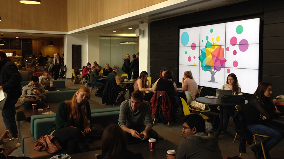 Live tree visualiation at the University of Hull Brynmor Jones Library